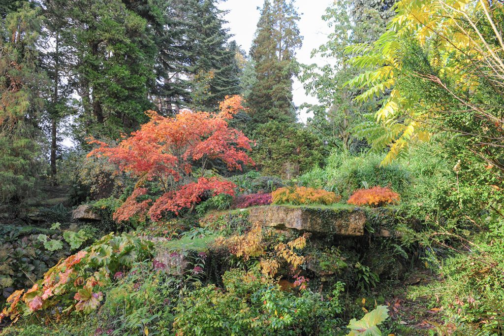 batsford-arboretom