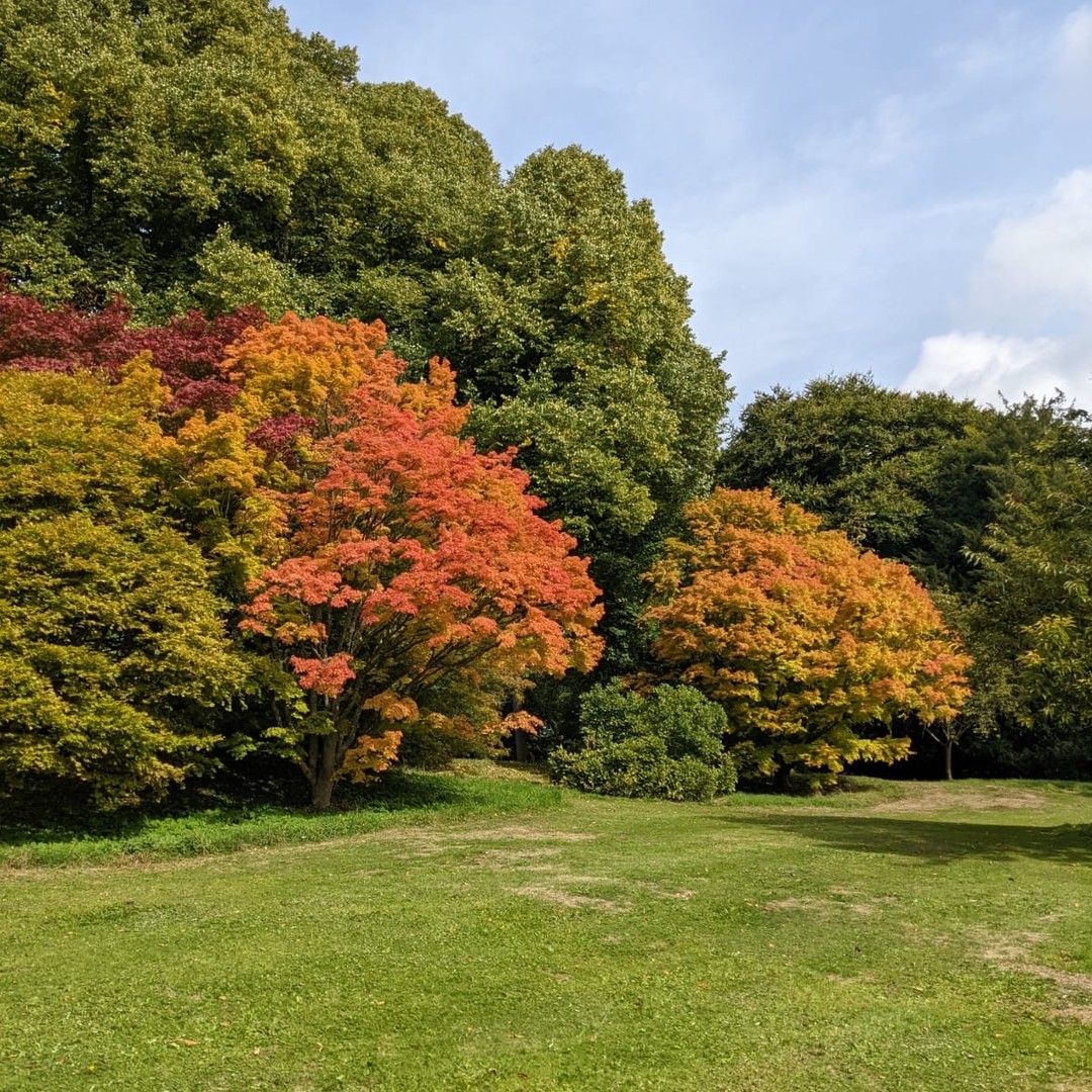 batsford-arboretum