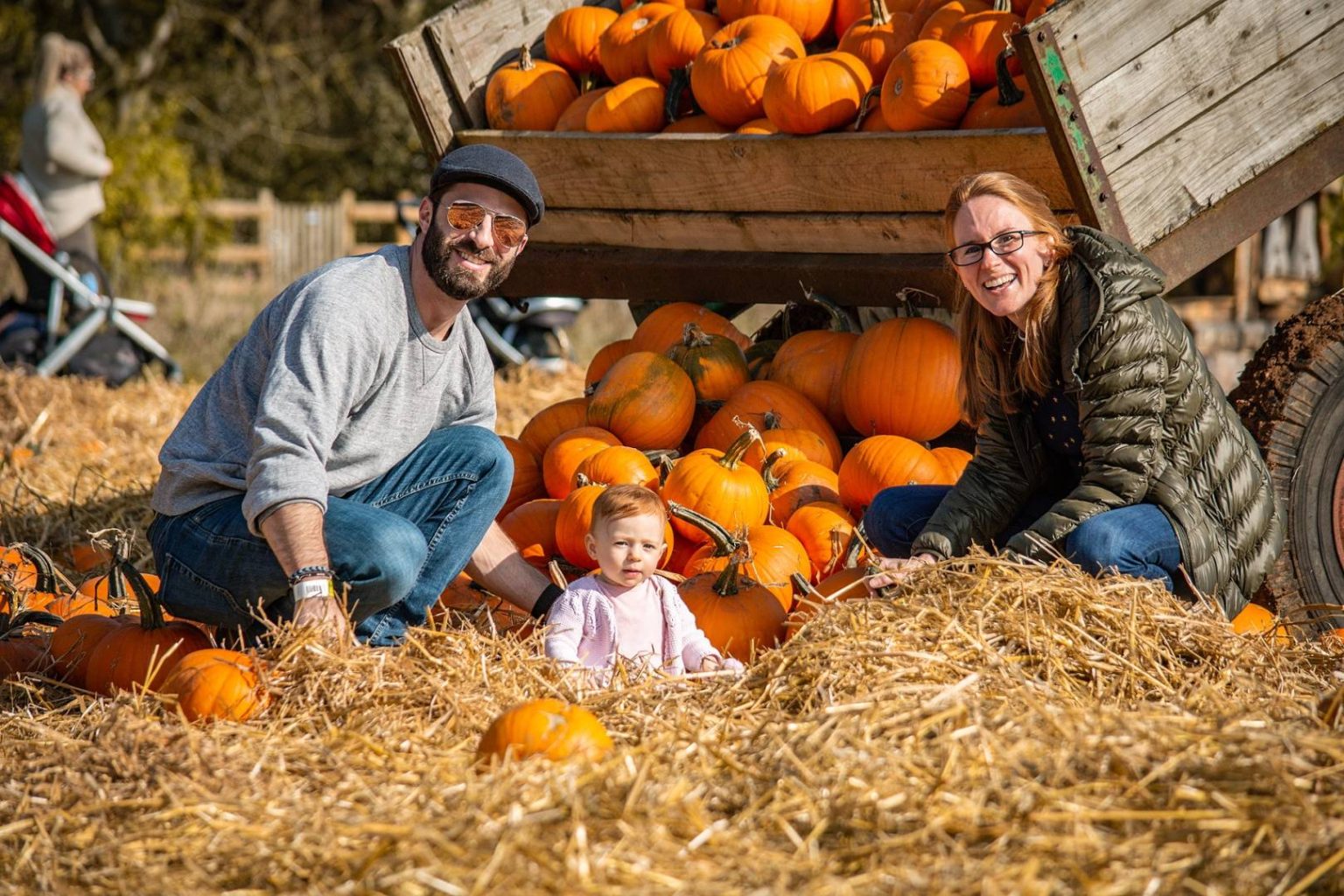 cotswold-farm-park-pumpkin-patch