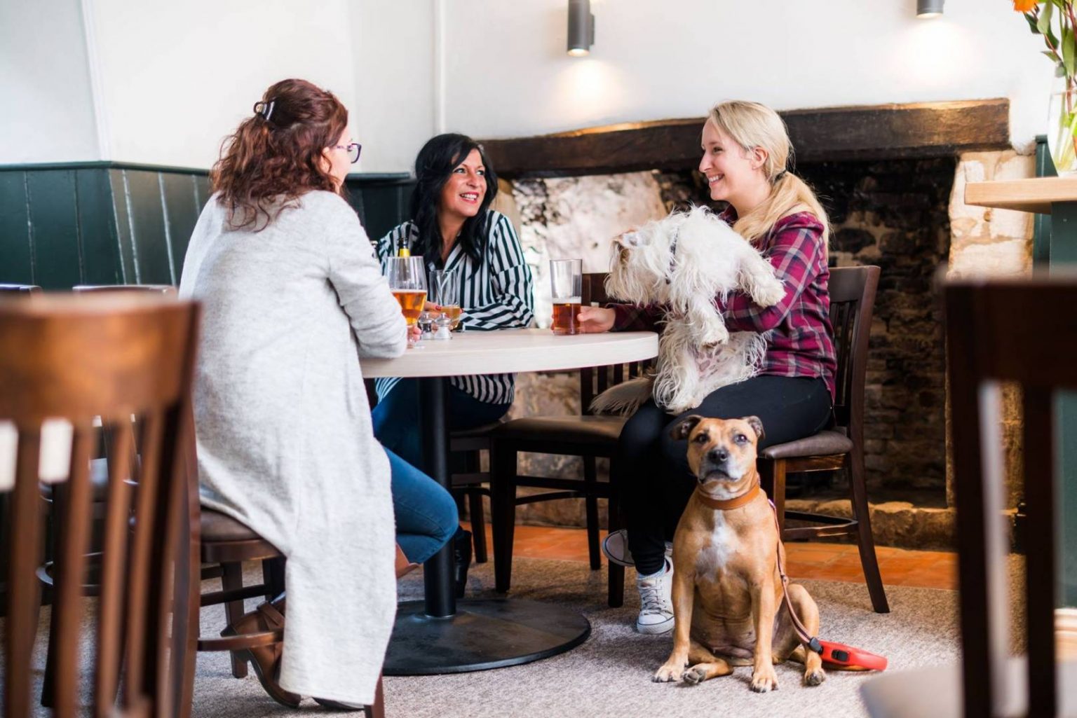 dog-in-pub