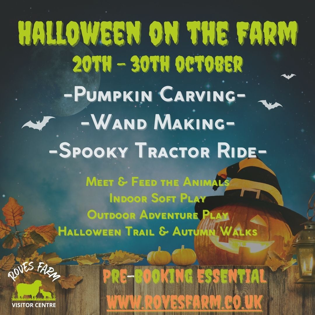 roves-farm-halloween-activities