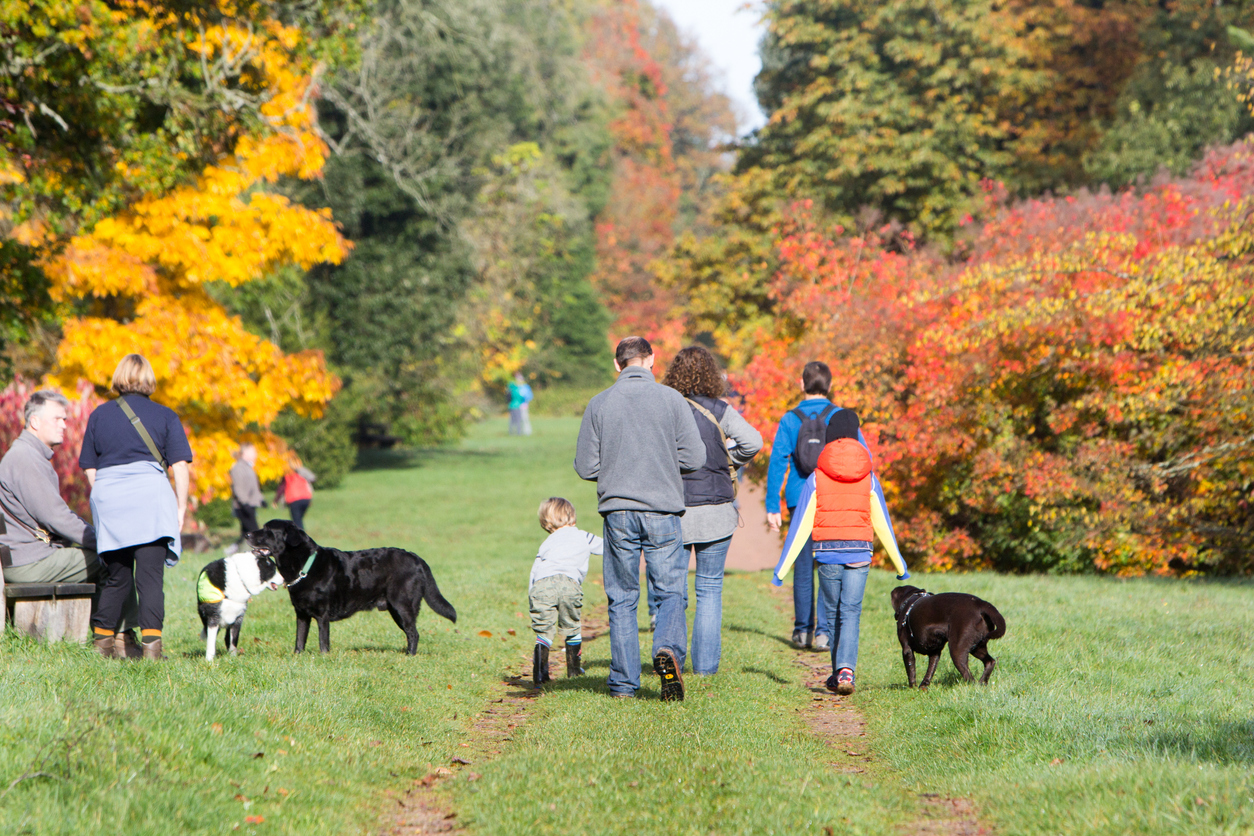 westonbirt 